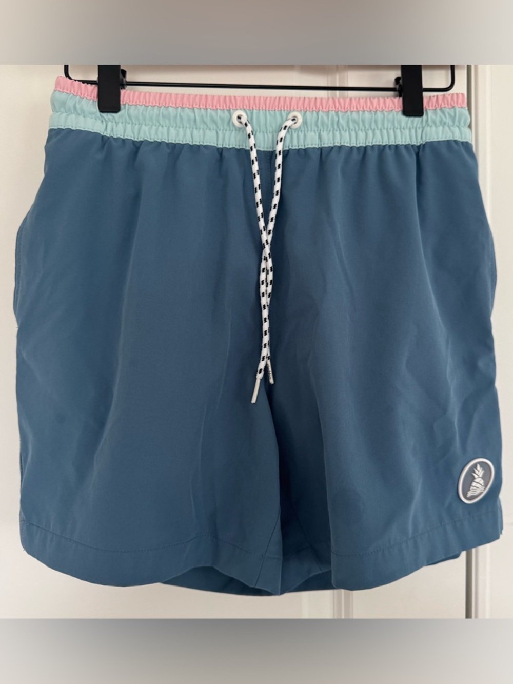 chubbies Swim Shorts
